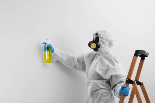 Best Mold Prevention Services  in Ransomville, NY