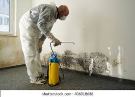 Best Commercial Mold Inspection  in Ransomville, NY